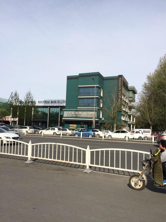 Beijing Phoenix Tree Hotel Daxing (Beijing) Exterior photo